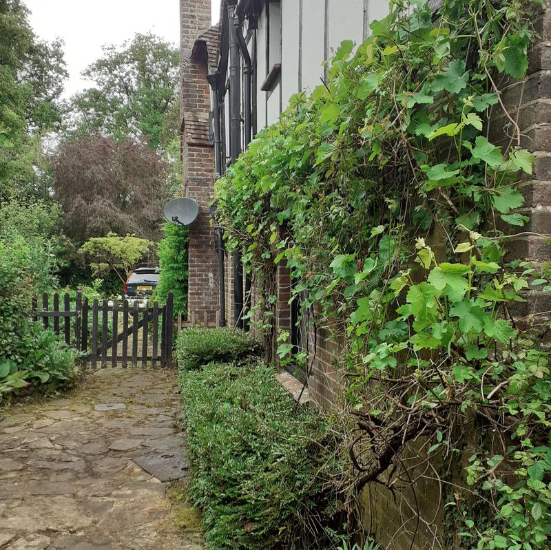 Garden after maintenance