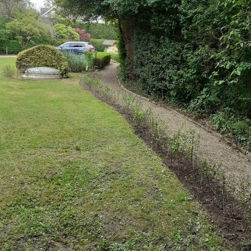 Garden after maintenance